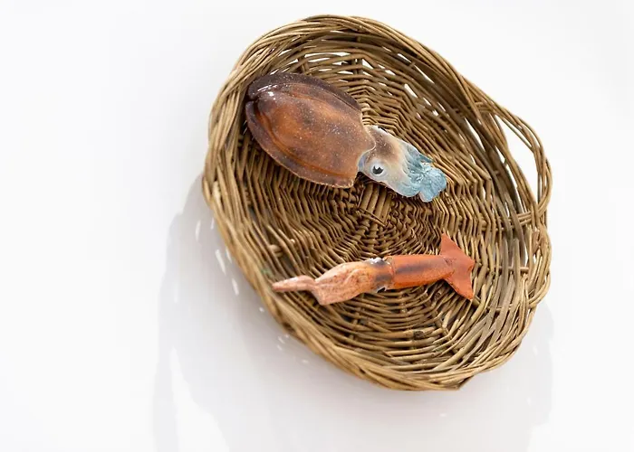 La Retara San Benedetto del Tronto